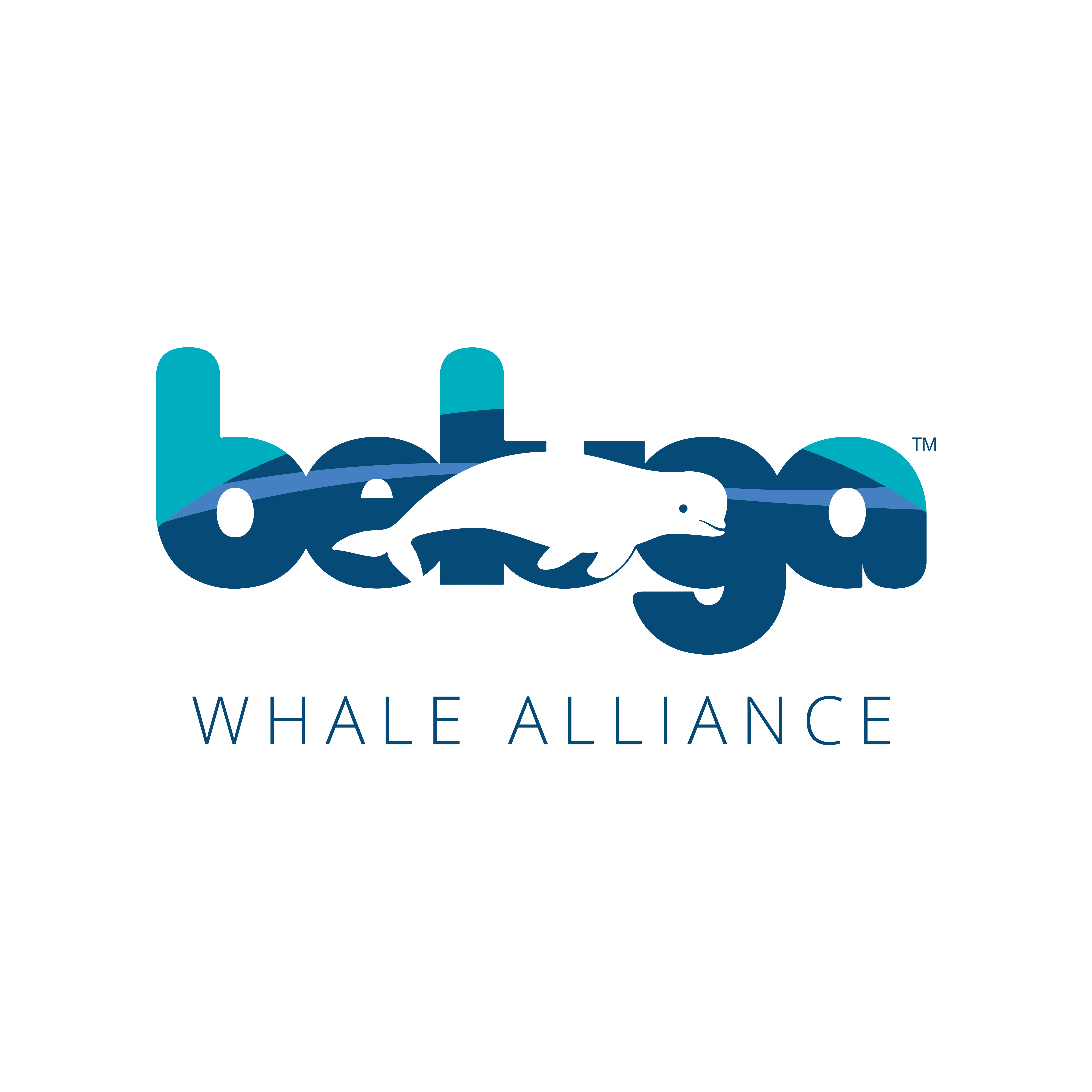 Beluga Whale Alliance Logo Design