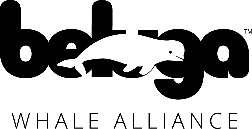 BWA Logo