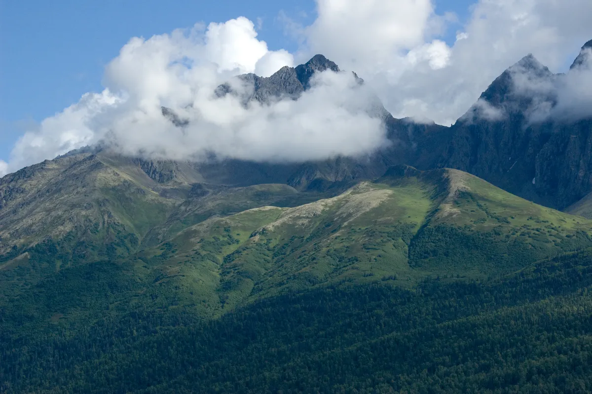 landscape (2007-08-09)