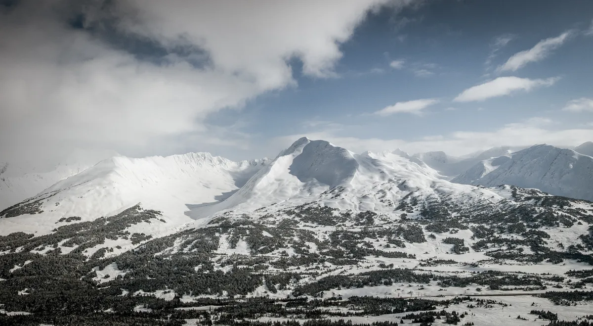 SERRE Photography (2008-04-07)