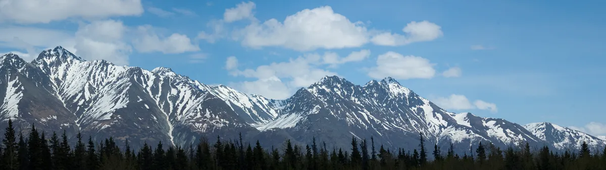 landscape (2008-05-18)