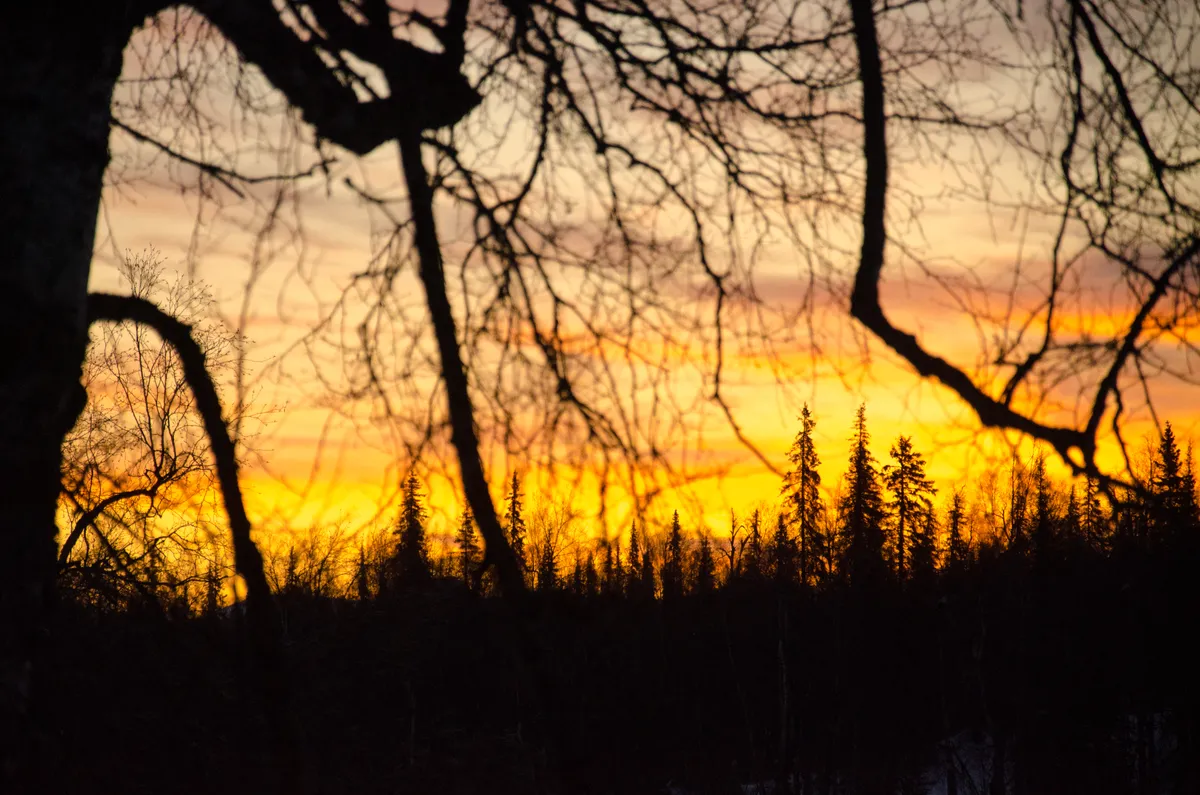landscape (2019-03-02)