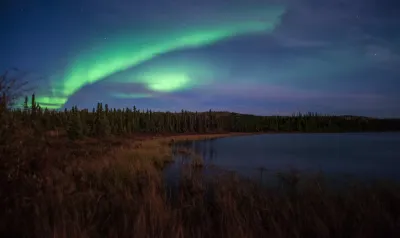 A wide band of green aurora arcs over a calm lake bordered by a dense evergreen forest. The sky is dark blue with visible stars, and the water's edge has some reeds and grasses.