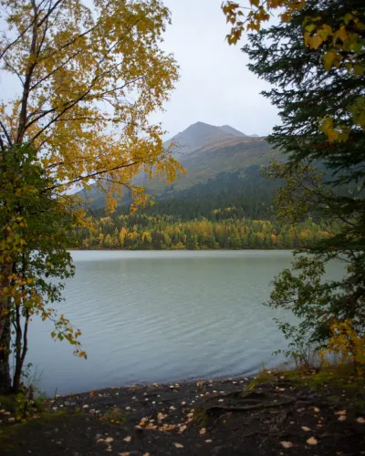A vertical shot of a calm lake framed by trees with autumn leaves, with a mountain peak in the background under an overcast sky.