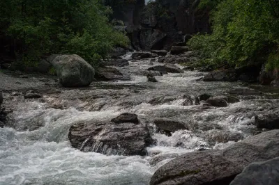 A close-up shot of a rushing mountain stream flowing over dark rocks, with a forest in the background.