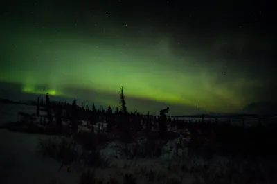 A soft green aurora glow hangs over a dark, silhouetted forest and a flat snowy plain under a clear starry sky.