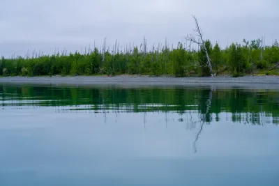 A serene view of a calm, reflective lake in Alaska, with a lone dead tree on the pebbled shore and a forest in the background.