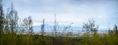 A shot from Anchorage looking across Cook Inlet towards the snow-covered mountains of the Alaska Range, framed by birch trees.