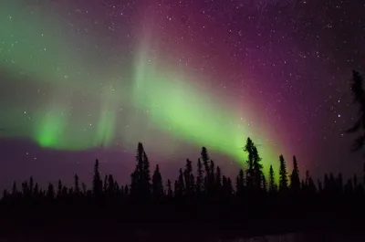 A forest silhouette with soft green and purple aurora lights filling the night sky.
