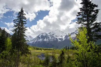 A vertical shot of a clear mountain stream flowing through a lush green meadow towards a snow-capped mountain range.