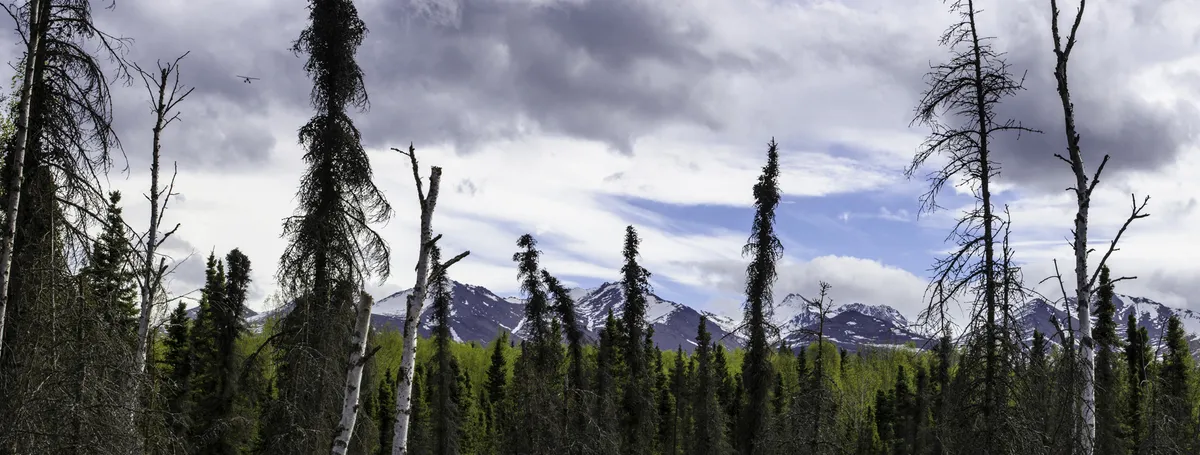 landscape (UnknownDate)
